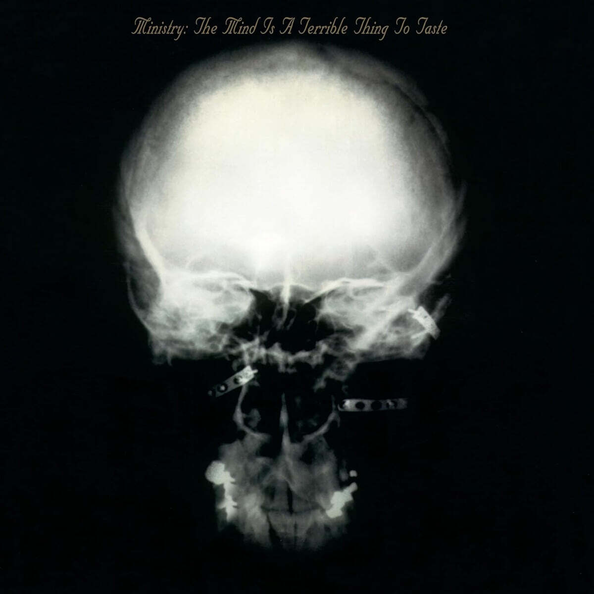 Ministry (미니스트리) - The Mind Is a Terrible Thing to Taste [2LP]
