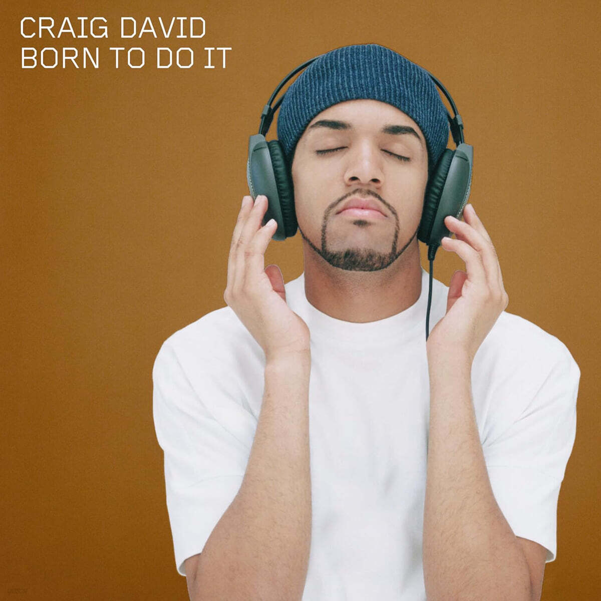 Craig David (크레이그 데이비드) - Born to Do It [픽쳐디스크 2LP]