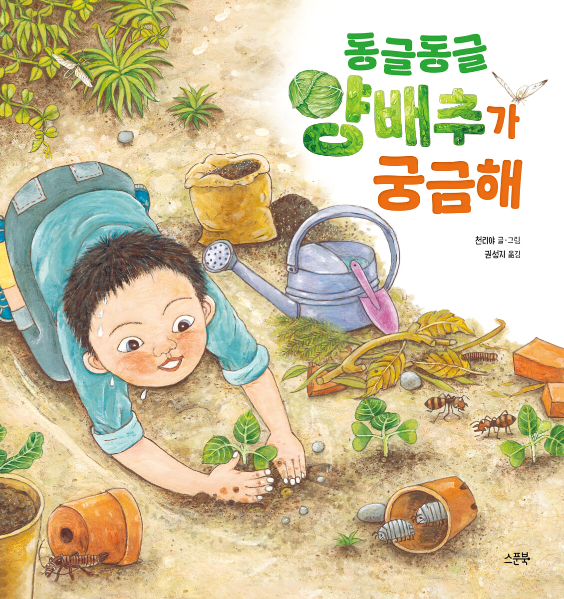 동글동글 양배추가 궁금해