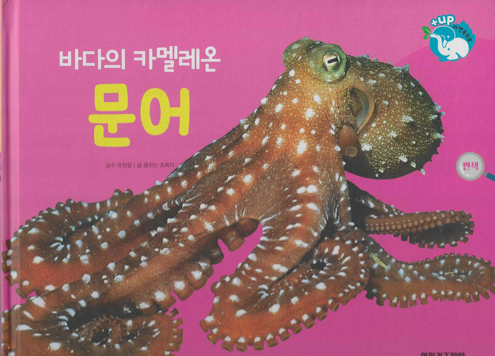 물을 좋아하는 동물 : 바다의 카멜레온 문어 (세이펜 적용/미포함)