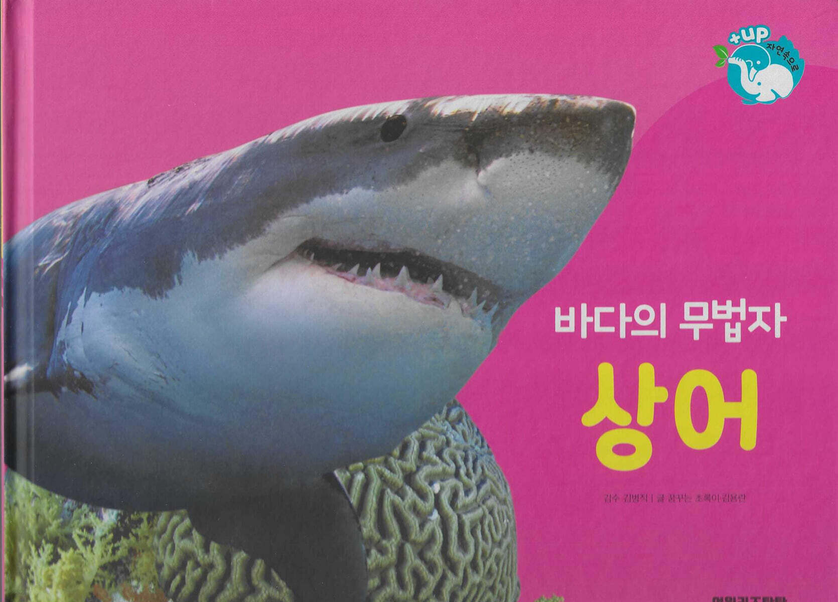 물을 좋아하는 동물 : 바다의 무법자 상어 (세이펜 적용/미포함)