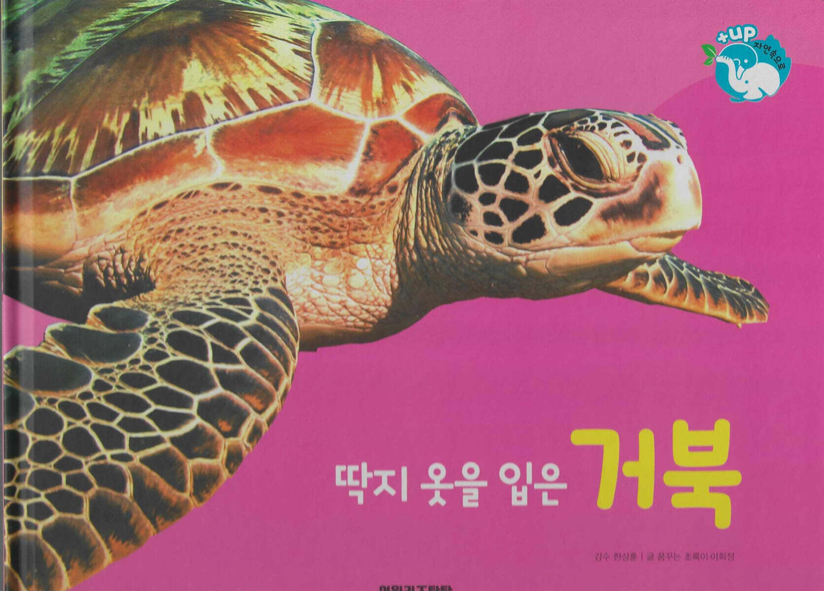 물을 좋아하는 동물 : 딱지 옷을 입은 거북 (세이펜 적용/미포함)