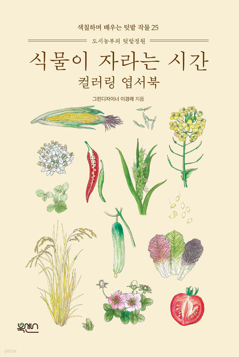 식물이 자라는 시간 컬러링 엽서북