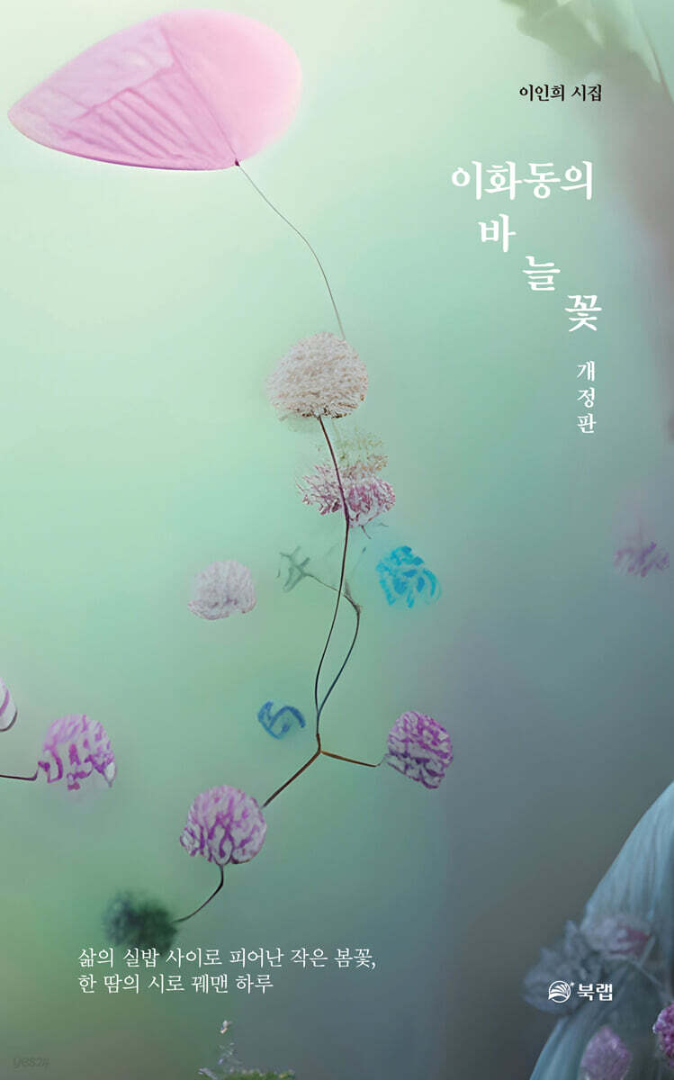 이화동의 바늘꽃