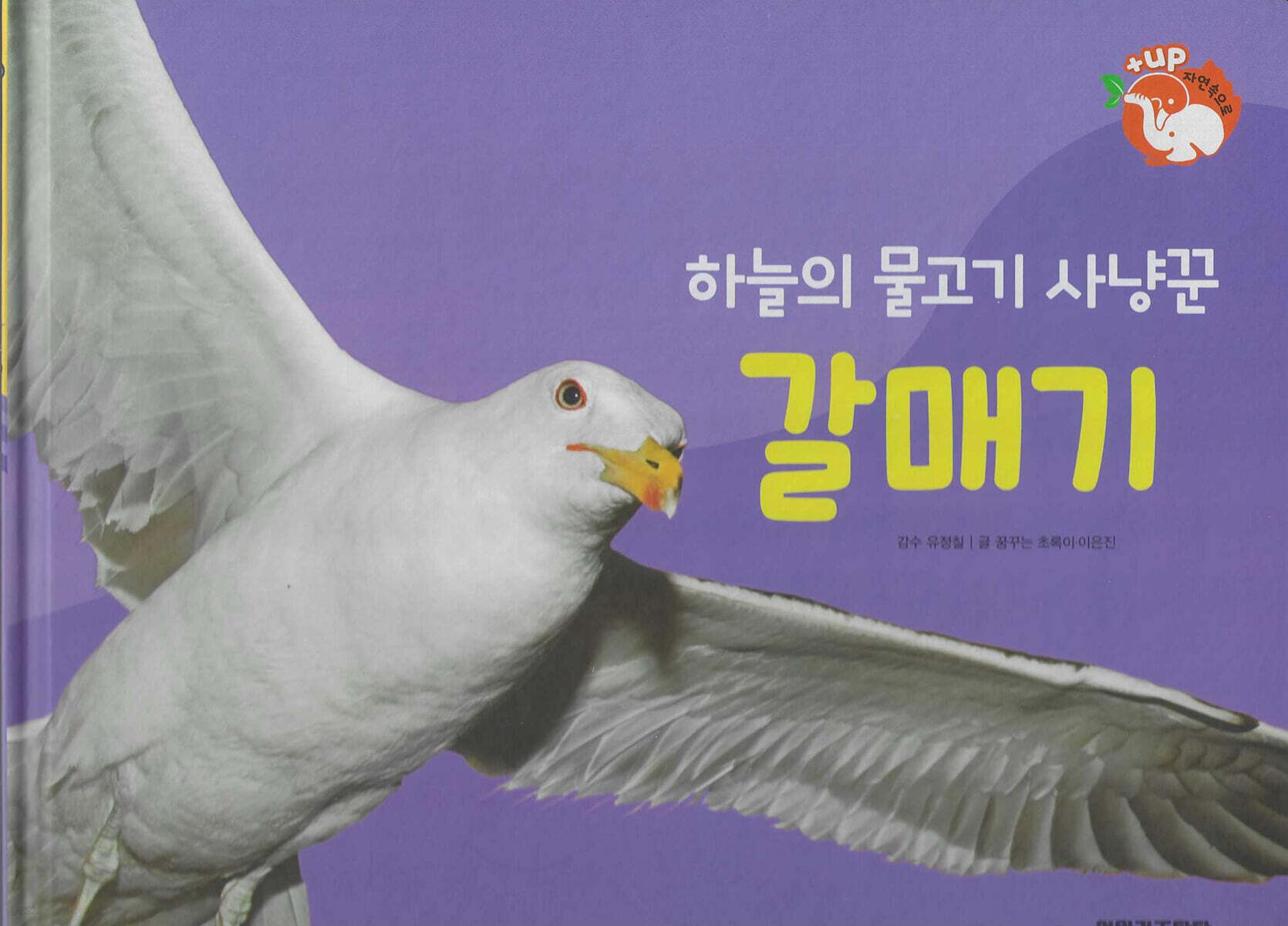 날개가 달린 동물 : 하늘의 물고기 사냥 갈매기 (세이펜 적용/미포함)
