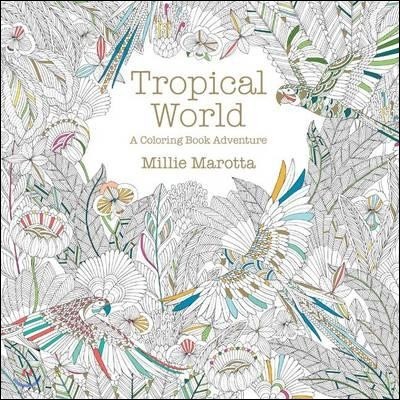 Tropical World: A Coloring Book Adventure