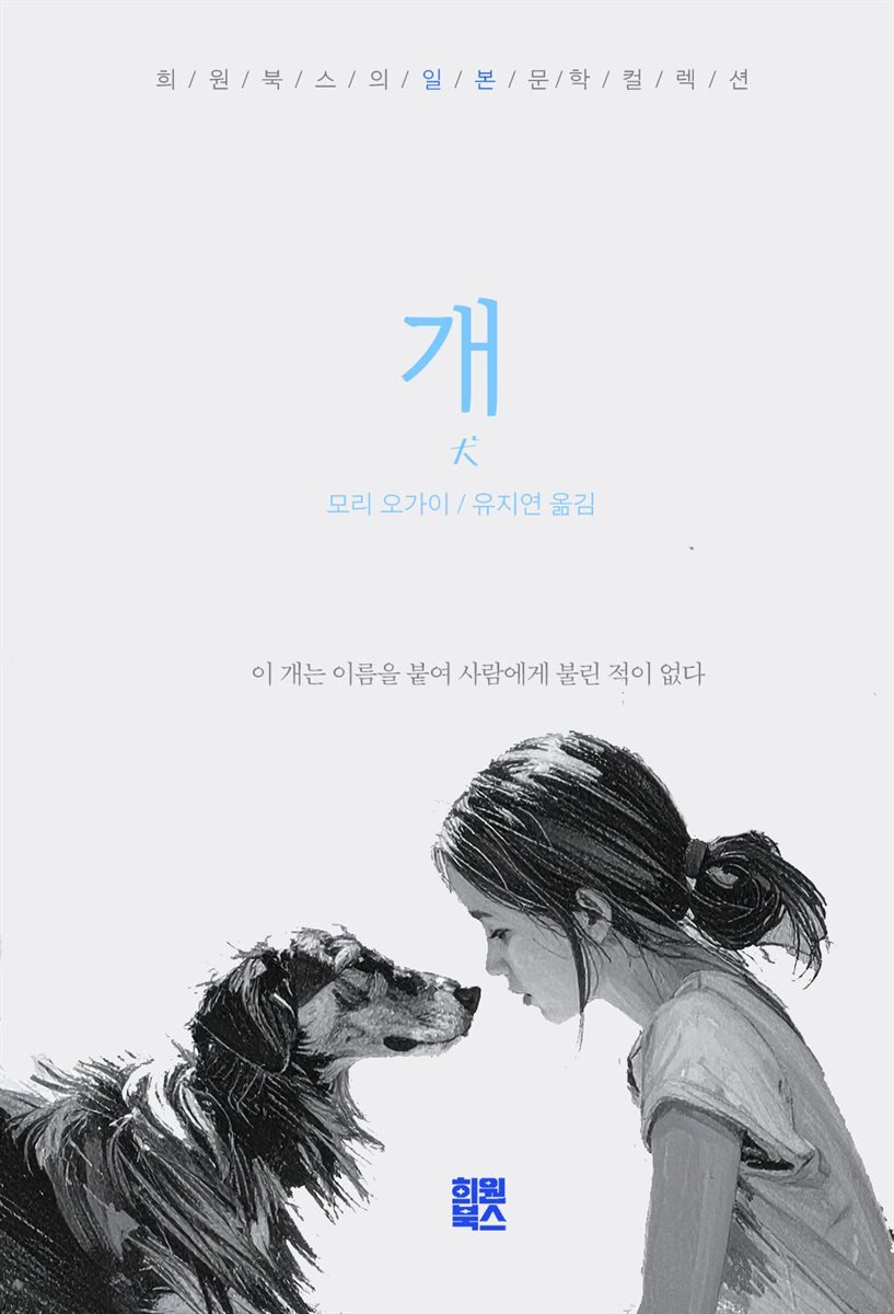 개