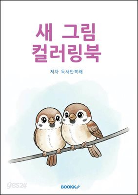 새 그림 컬러링북