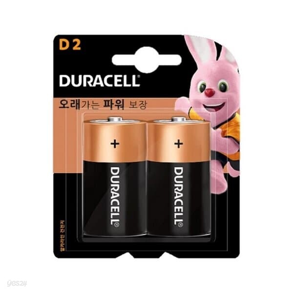 듀라셀 알카라인 건전지 대 DM LR20 1.5V 2개입 일회용