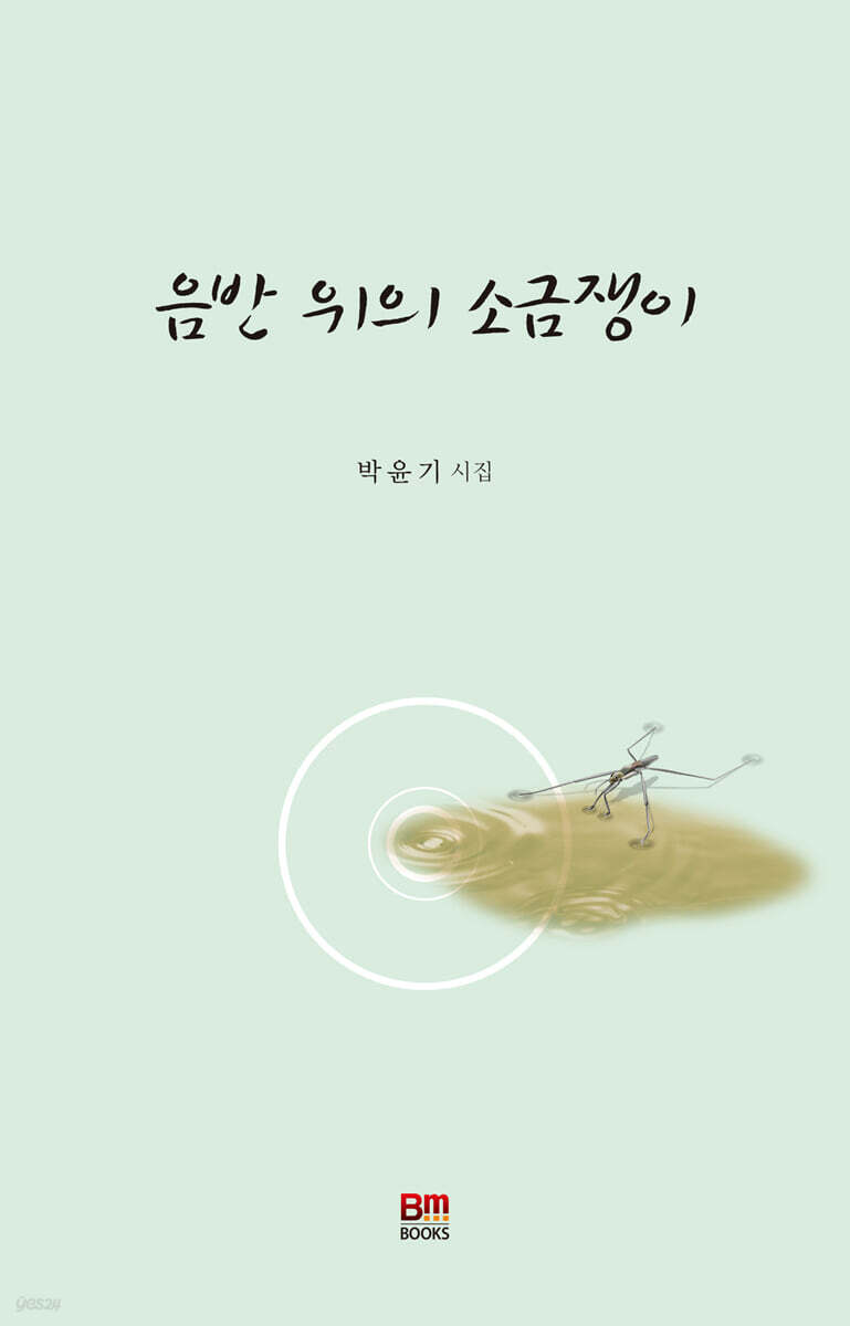 음반 위의 소금쟁이