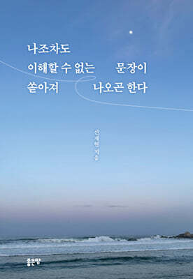 나조차도 이해할 수 없는 문장이 쏟아져 나오곤 한다