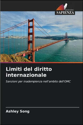 Limiti del diritto internazionale