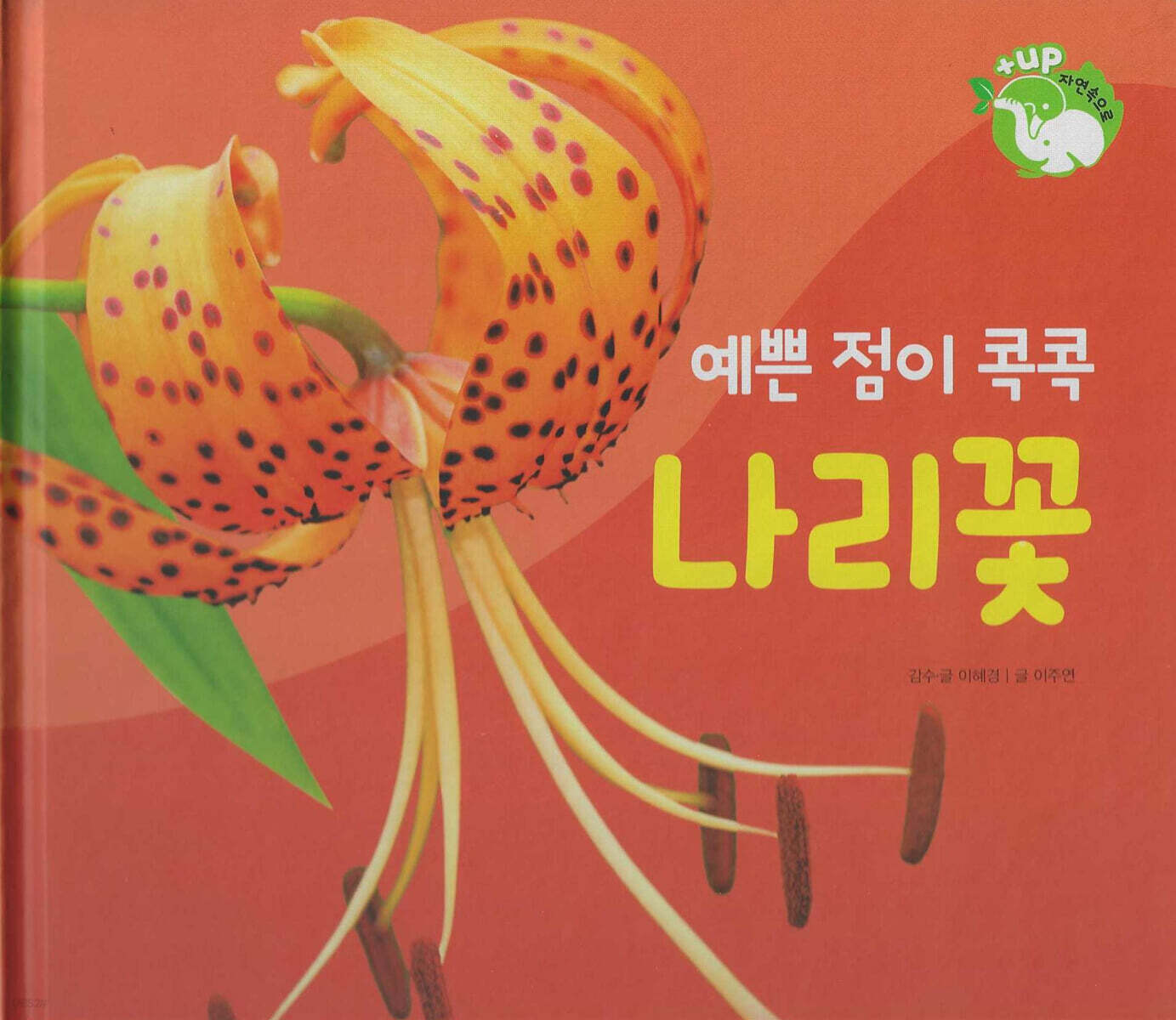 꽃과 나무 : 예쁜 점이 콕콕 나리꽃 (세이펜 적용/미포함)