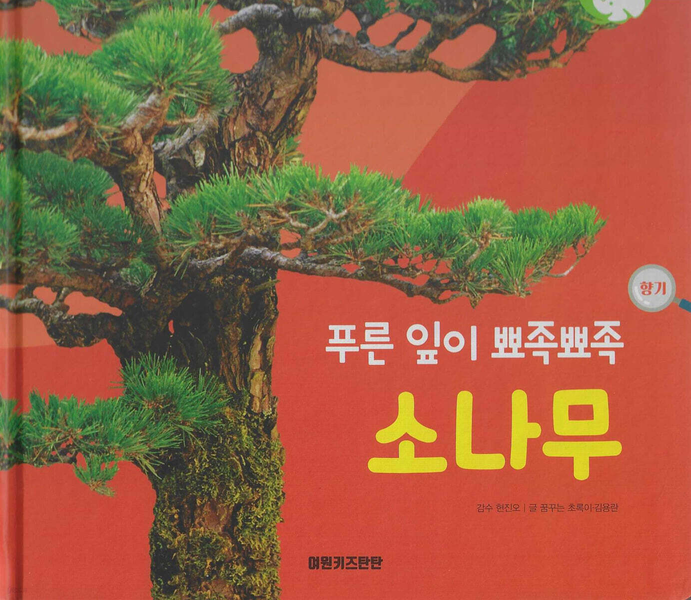 꽃과 나무 : 푸른 잎이 뾰족뾰족 소나무 (세이펜 적용/미포함)