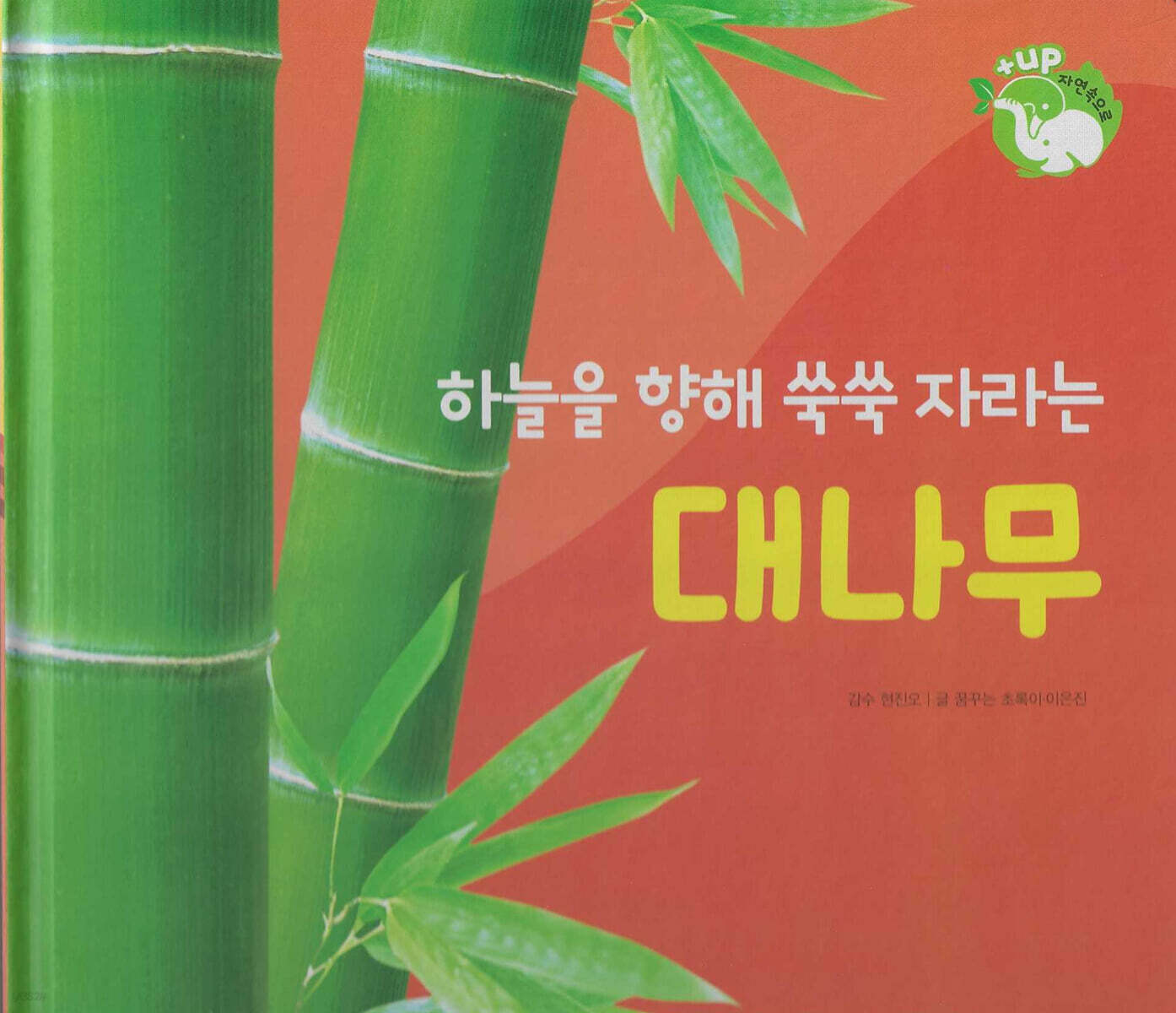 꽃과 나무 : 하늘을 향해 쑥쑥 자라는 대나무 (세이펜 적용/미포함)