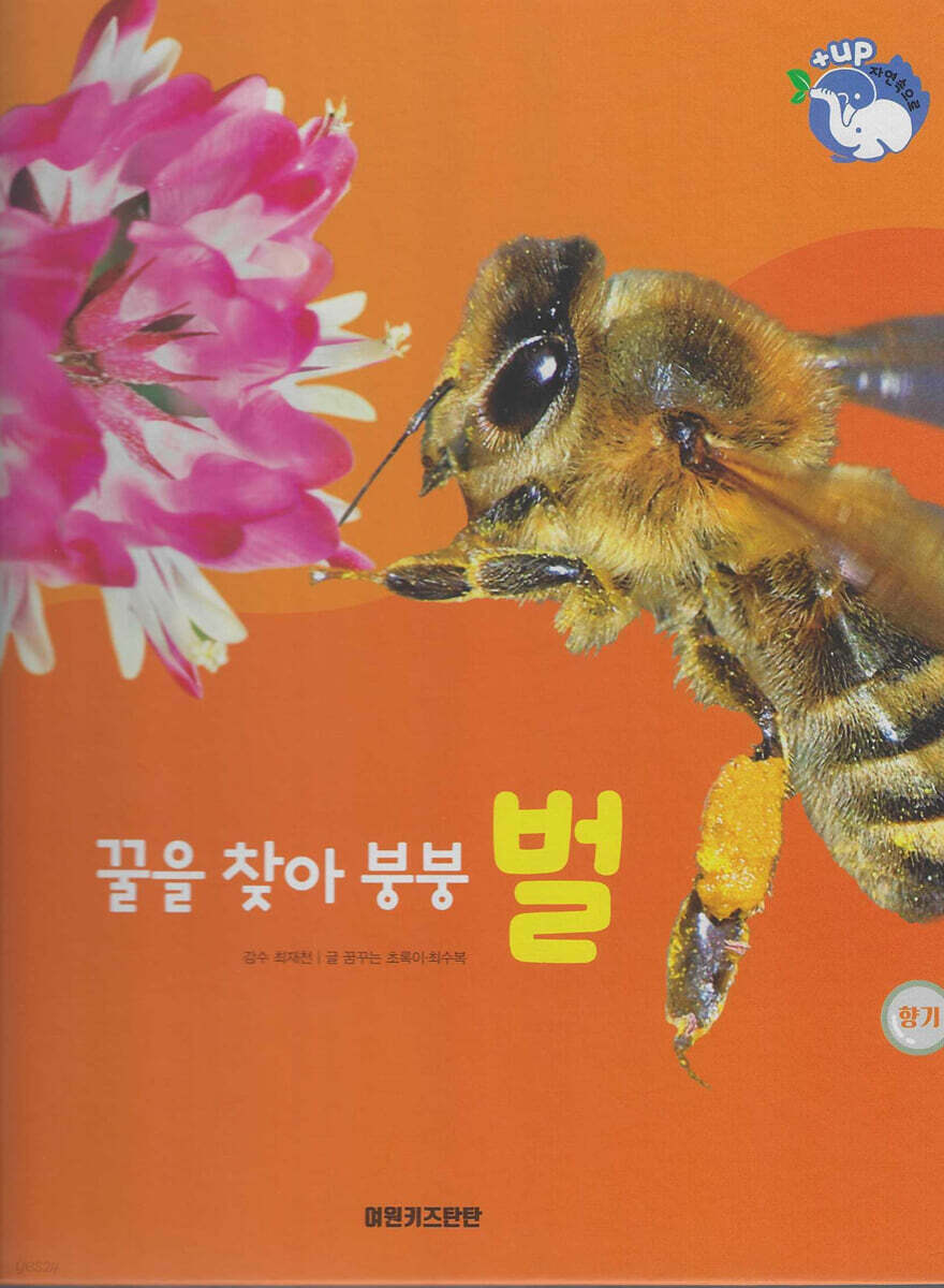 곤충 : 꿀을 찾아 붕붕 벌 (세이펜 적용/미포함)