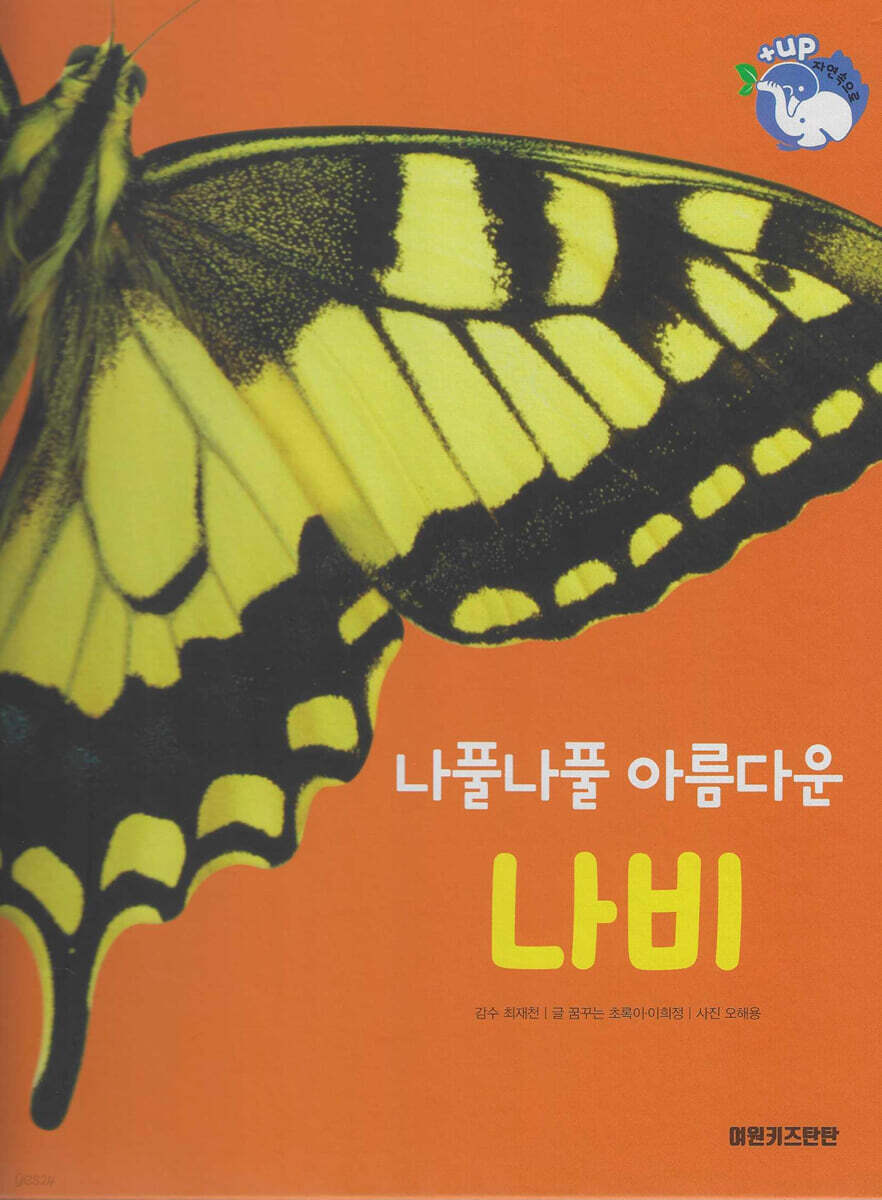 곤충 : 나풀나풀 아름다운 나비 (세이펜 적용/미포함)