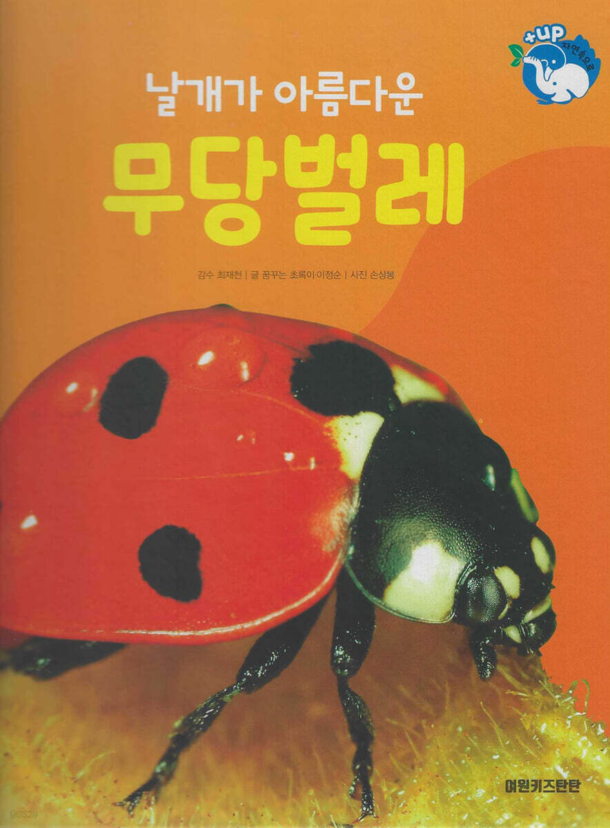 곤충 : 날개가 아름다운 무당벌레 (세이펜 적용/미포함)