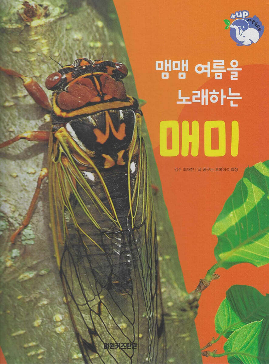 곤충 : 맴맴 여름을 노래하는 매미 (세이펜 적용/미포함)