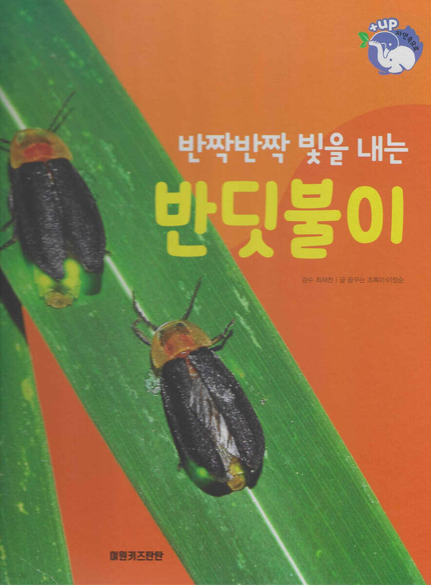 곤충 : 반짝반짝 빛을 내는 반딧불이 (세이펜 적용/미포함)