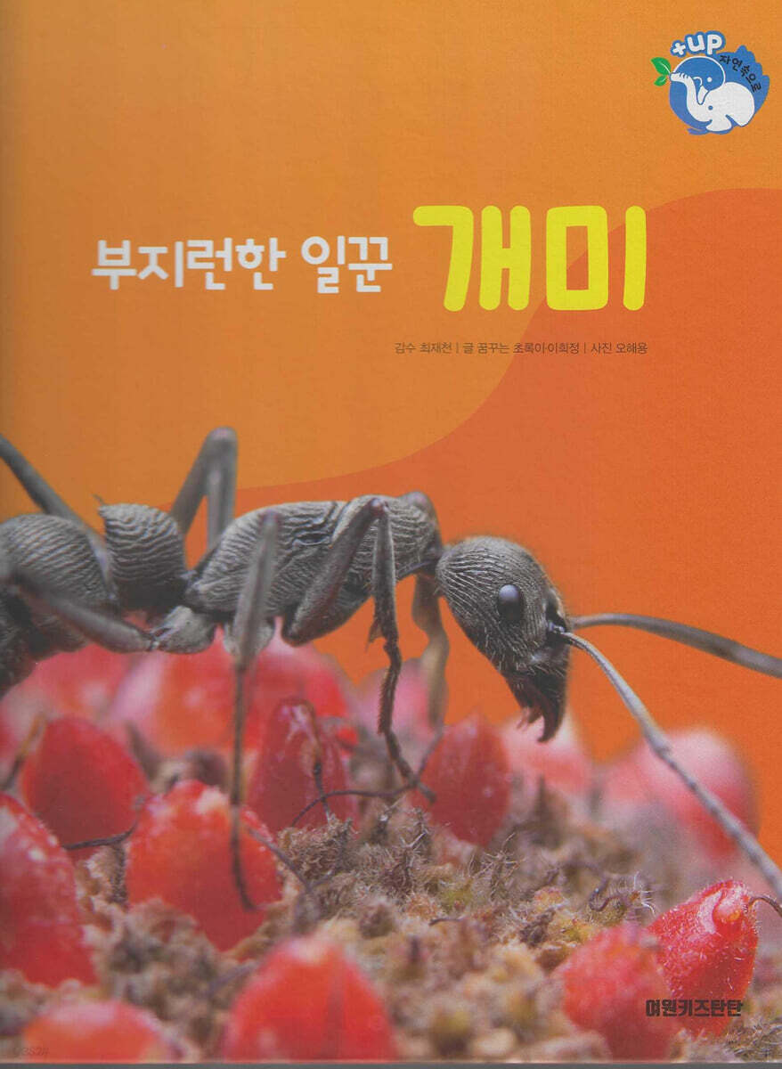곤충 : 부지런한 일꾼 개미 (세이펜 적용/미포함)