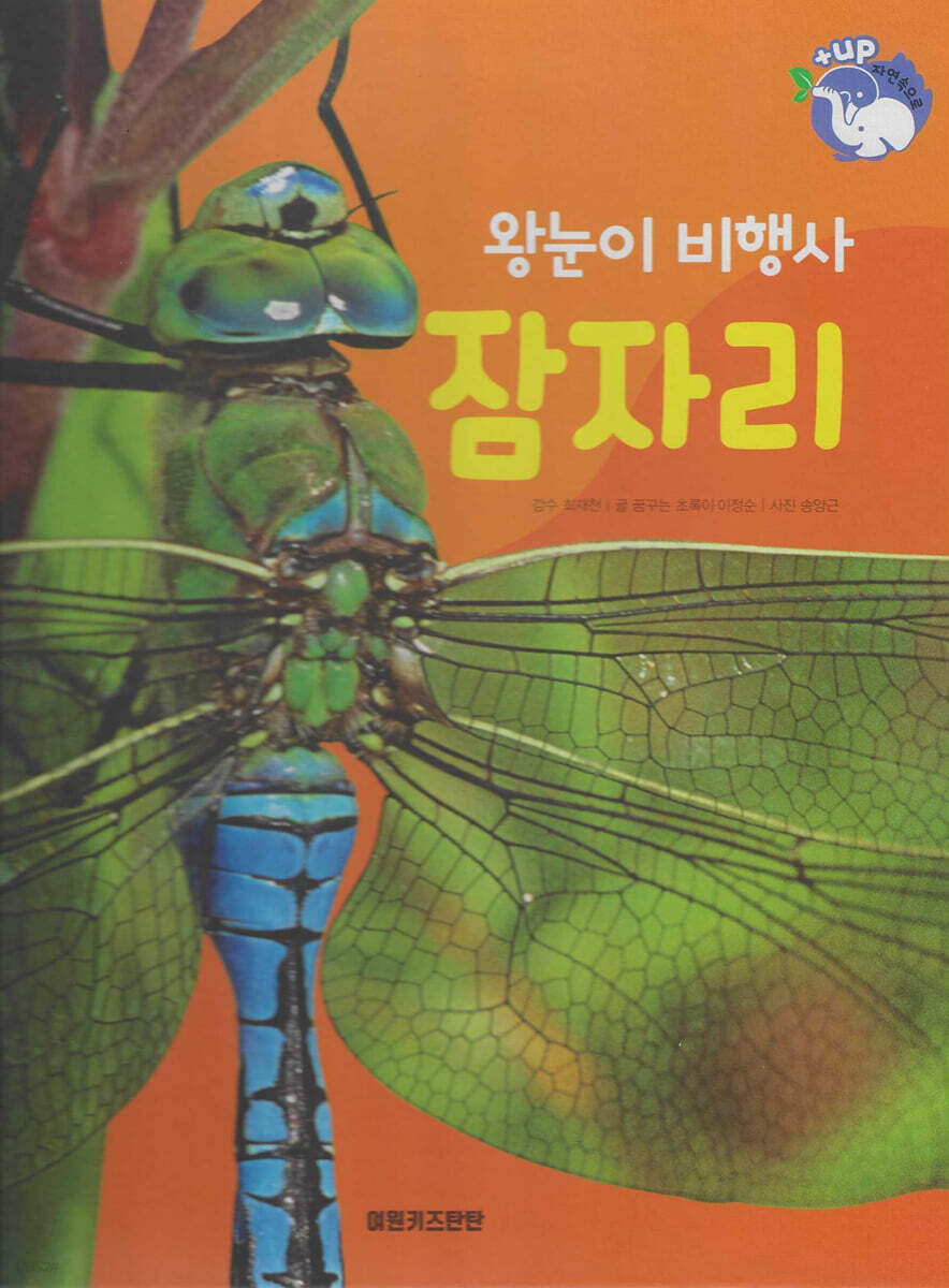 곤충 : 왕눈이 비행사 잠자리 (세이펜 적용/미포함)