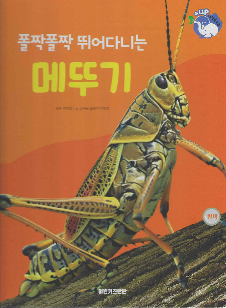 곤충 : 폴짝폴짝 뛰어다니는 메뚜기 (세이펜 적용/미포함)
