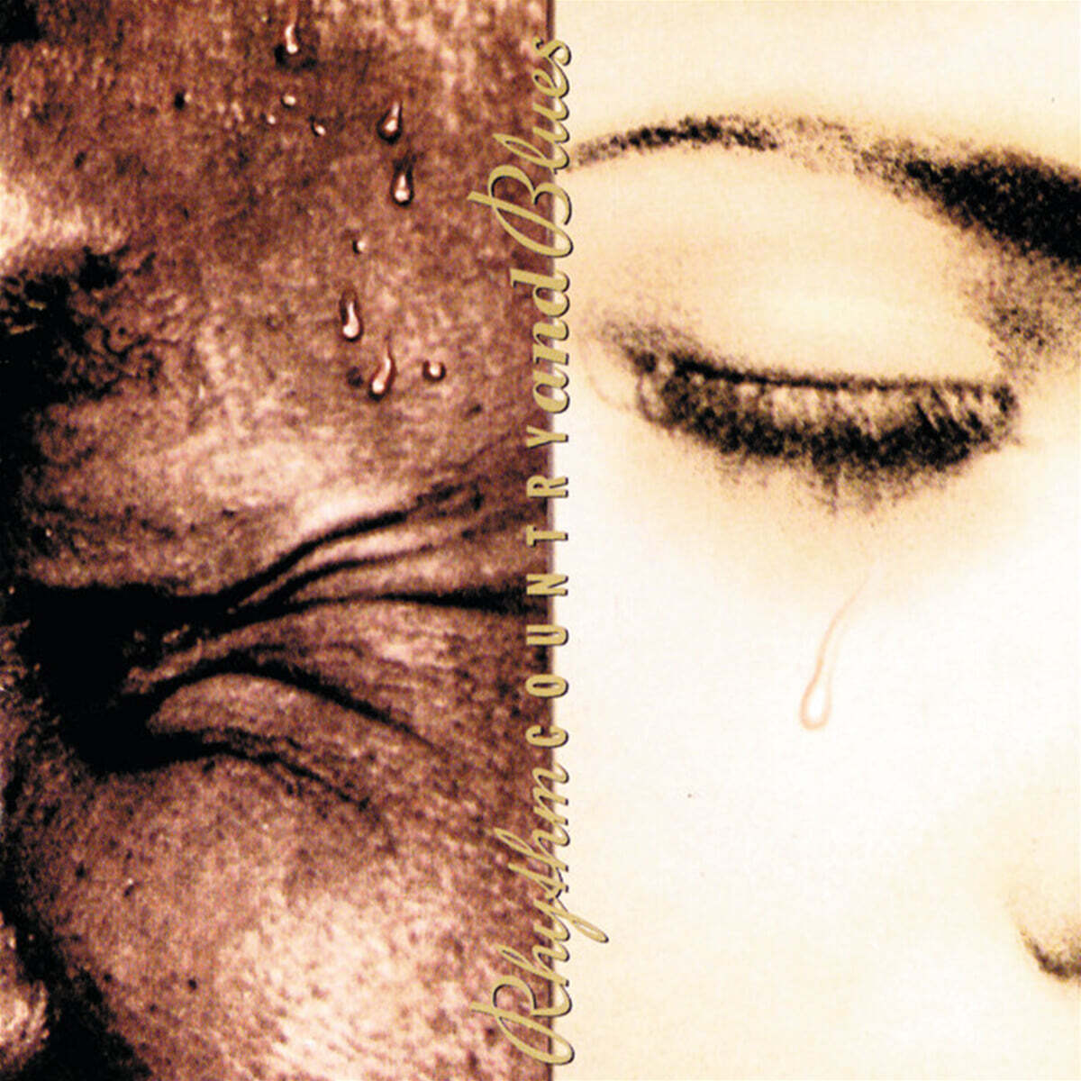 리듬 컨트리 &amp; 블루스 모음집 (Rhythm Country And Blues) [LP]