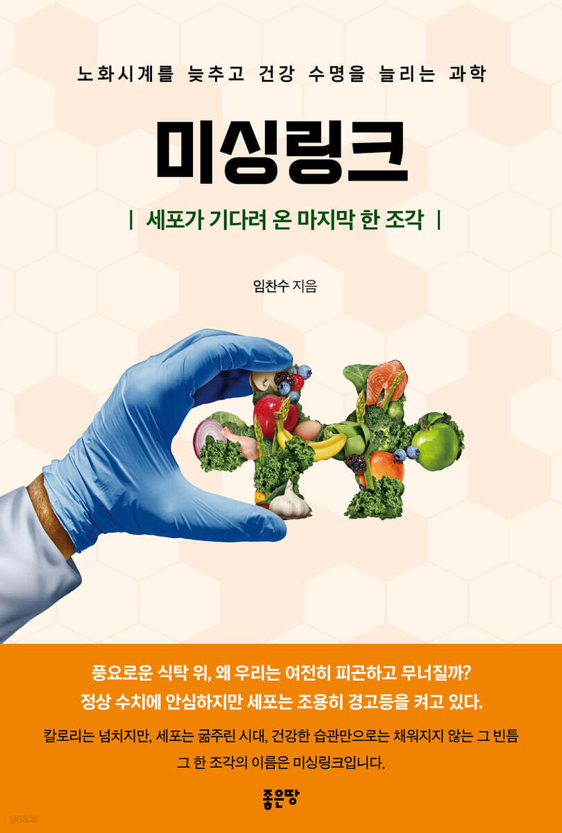 미싱링크