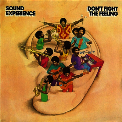 Sound Experience — Don't Fight The Feeling (Reissue) 앨범 커버