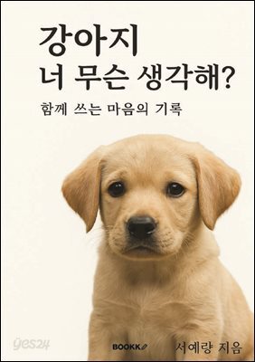 강아지, 너 무슨 생각해?