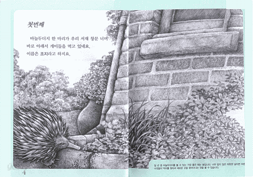 바늘두더지 조지