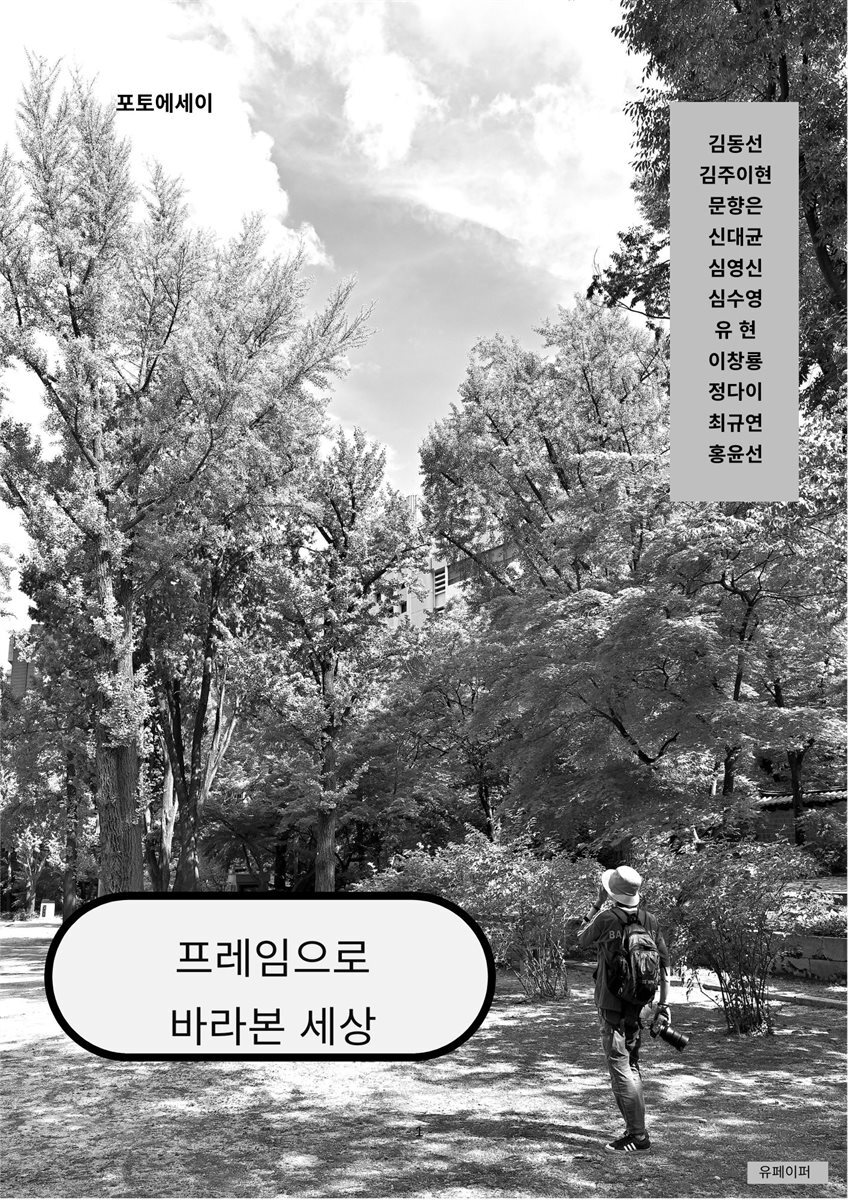 프레임으로 바라본 세상