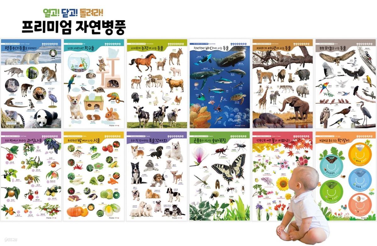 [아기병풍] 마루별 자연학습 조작놀이 병풍