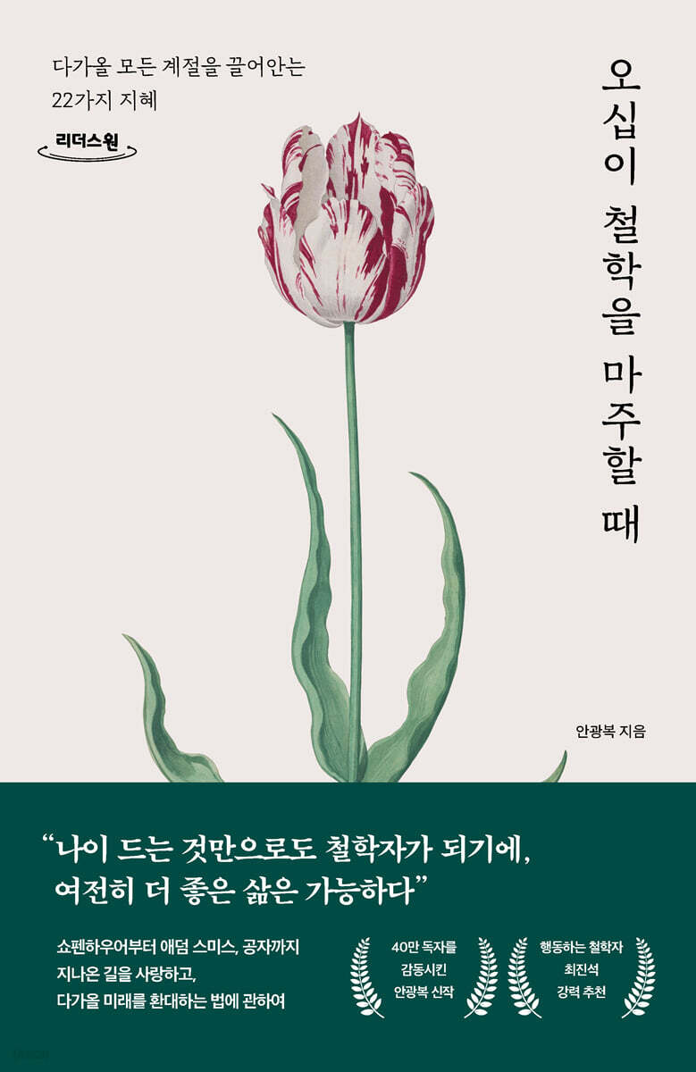 오십이 철학을 마주할 때 (큰글자도서)