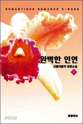 완벽한 인연 2권 (완결)