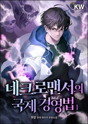 네크로맨서의 국제 경영법