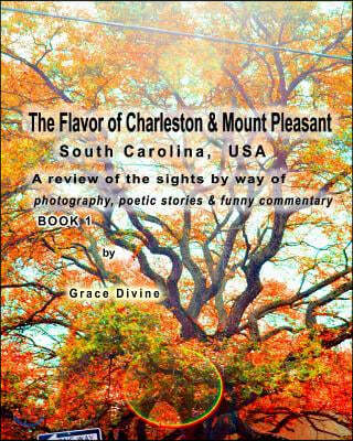 The Flavor of Charleston & Mount Pleasant South Carolina USA: A review of the sights by way of photography, poetic stories & funny commentary BOOK 1