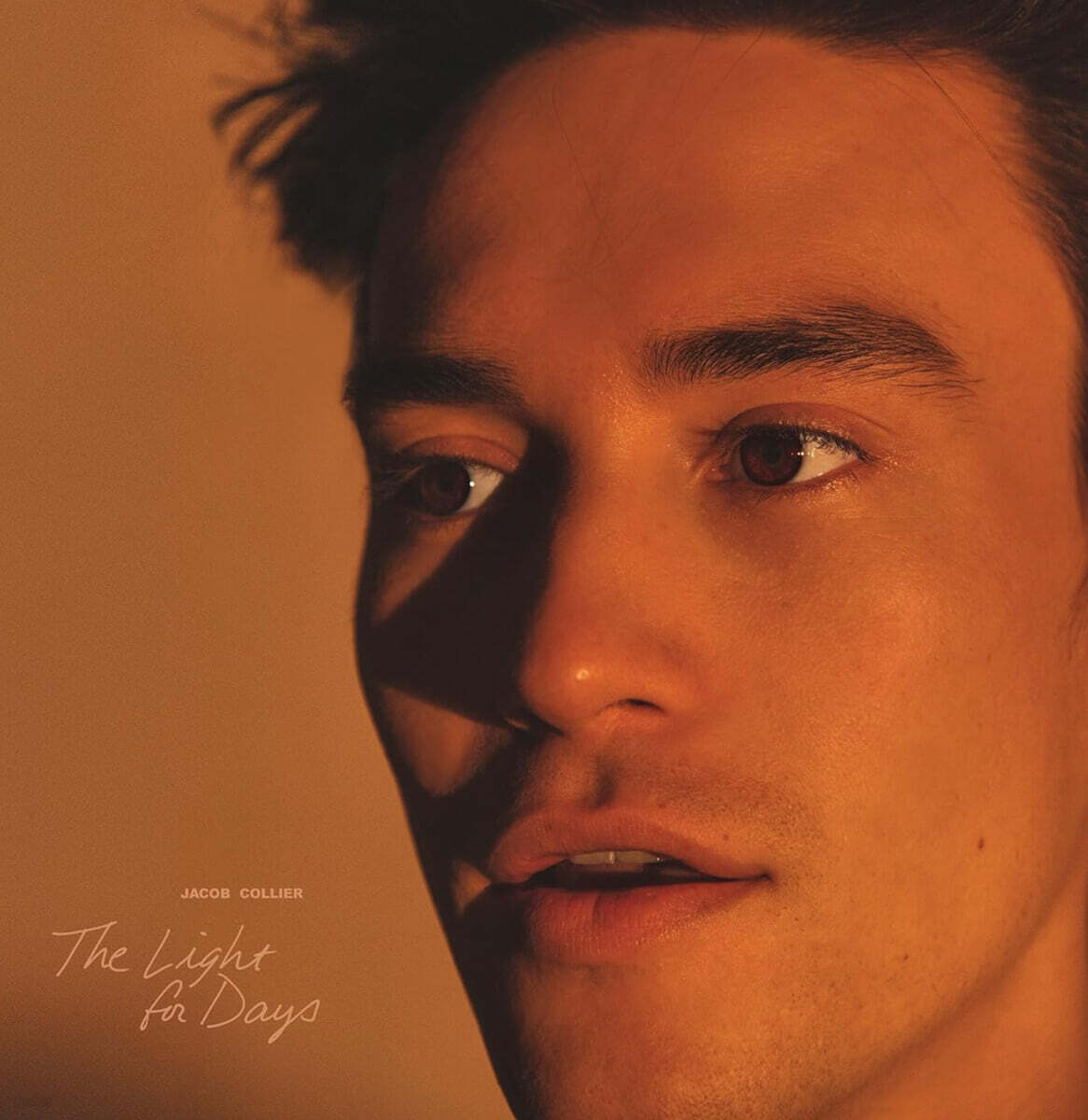 Jacob Collier (제이콥 콜리어) - The Light For Days