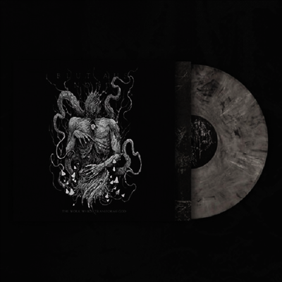 Blut Aus Nord — Work Which Transforms God (Slipsleeve) 앨범 커버