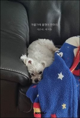 개울가에 올챙이 한마리