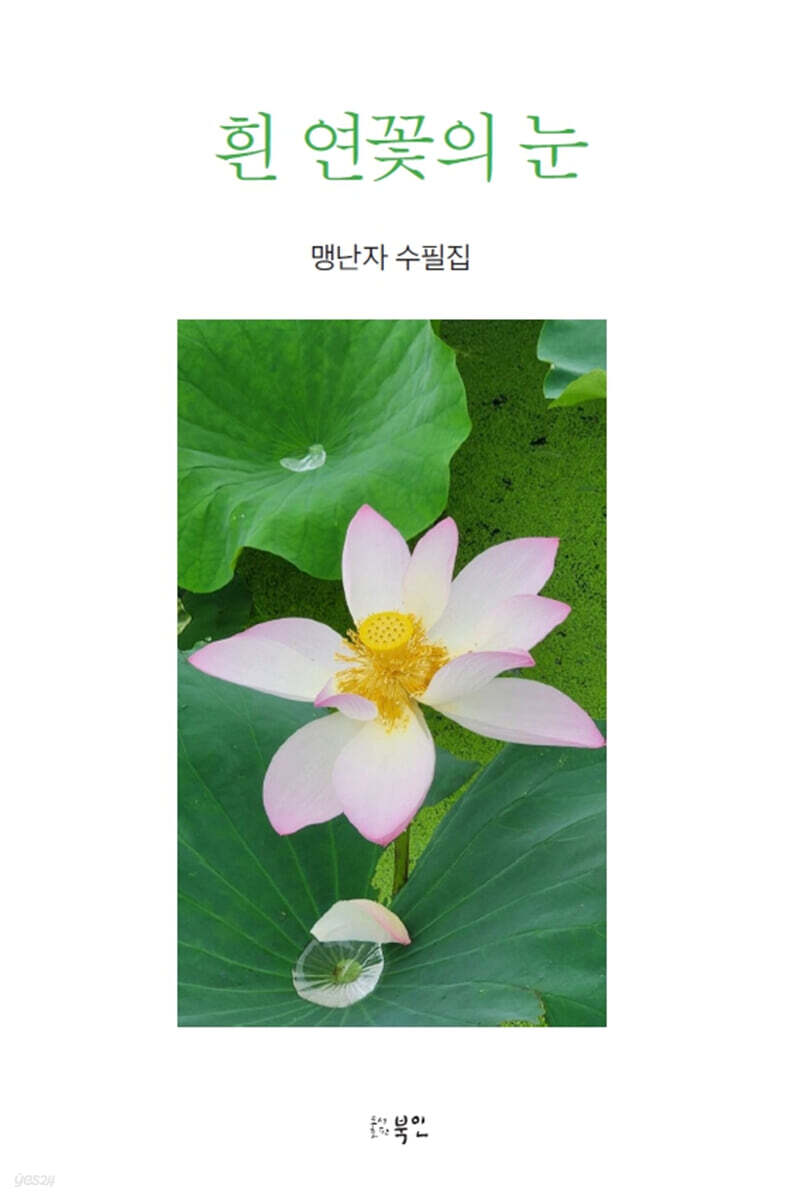 흰 연꽃의 눈
