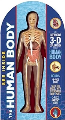 The Human Body