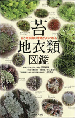 苔.地衣類圖鑑