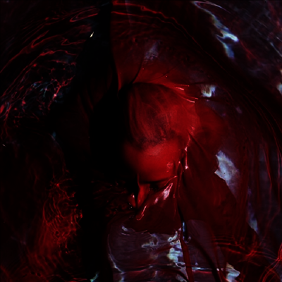 Blackwater Holylight — Not Here Not Gone 앨범 커버