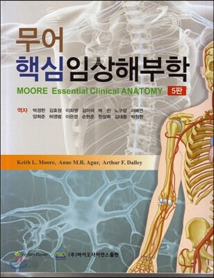 무어 핵심임상해부학
