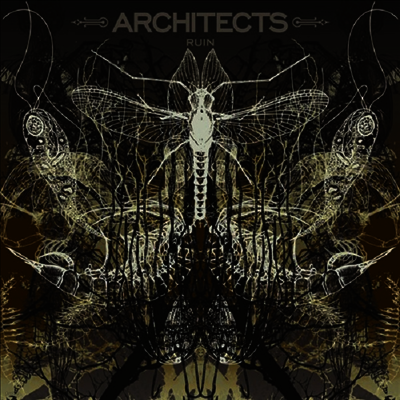 Architects — Ruin 앨범 커버