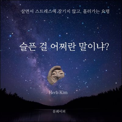 슬픈 걸 어쩌란 말이냐?