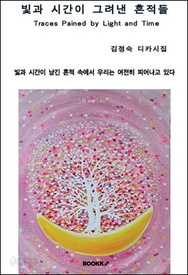빛과 시간이 그려낸 흔적들