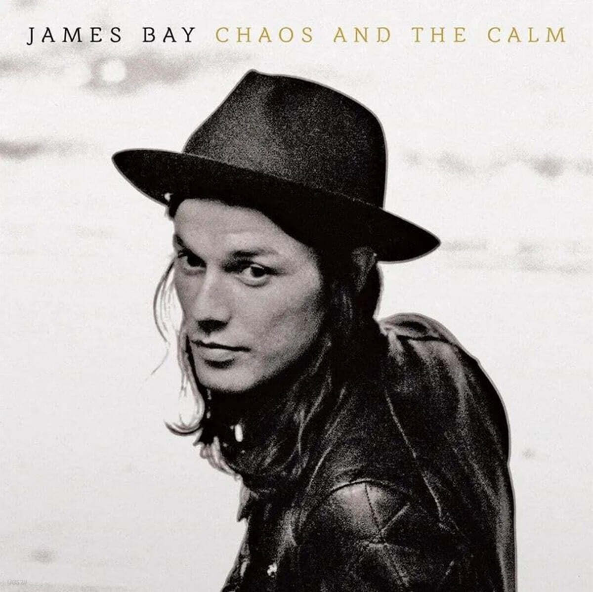 James Bay (제임스 베이) - Chaos And The Calm [루비 마블 컬러 LP]